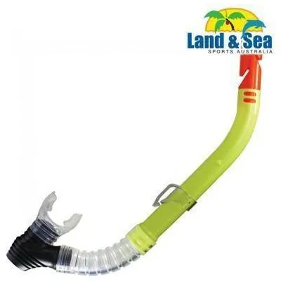 42096      ~ CLEARWATER - PURGE - SNORKEL