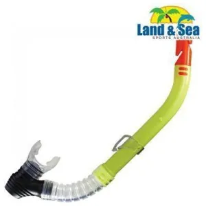 42096      ~ CLEARWATER - PURGE - SNORKEL