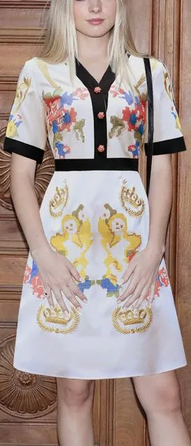 Embroidered Mini Dress