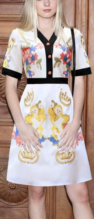 Embroidered Mini Dress